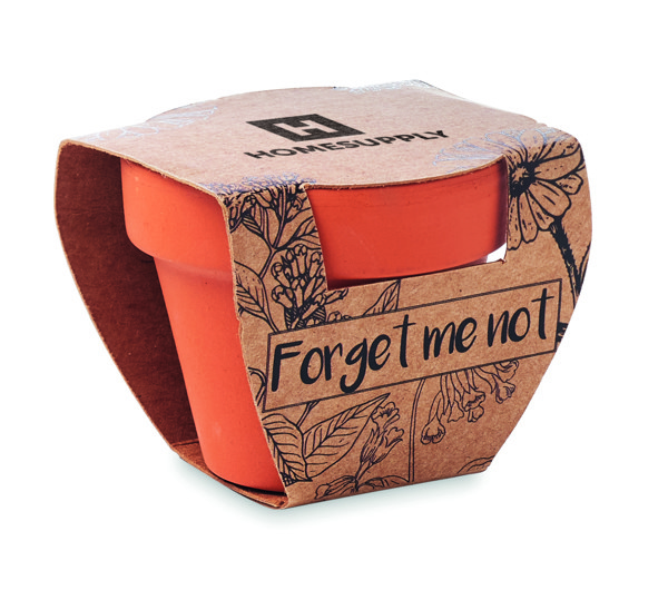Terracotta pot 'forget me not'