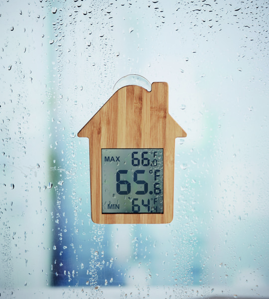 Bamboo weather station Hisa