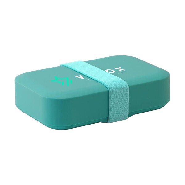Day to Day lunch box Elastic | 1.1 l - green
