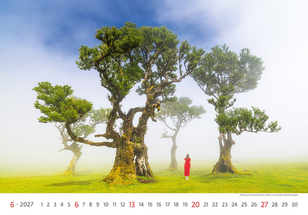 Calendar New Horizons