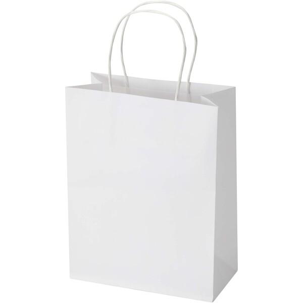 Kraft 120 g/m2 paper bag with twisted handles - 18 x 9 x 23 cm - White