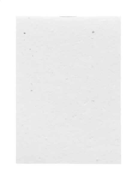 Custom Seed Paper Notebook CreaNote Mini Seed