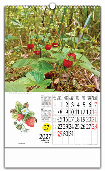 Zidni kalendar s rotacijskim krugom – Ljekovito bilje