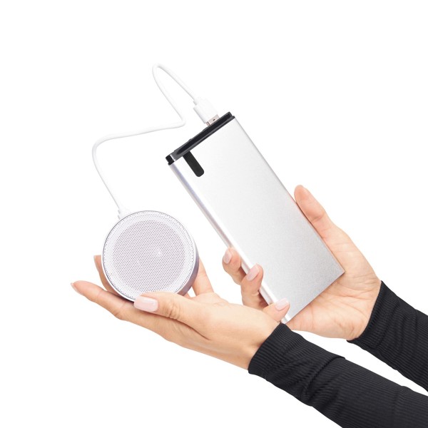 Powerbank Indicator - Silber