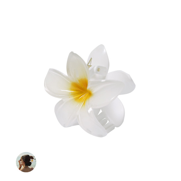 Fermaglio per Capelli Tixcon