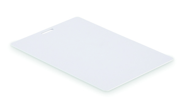 Lanyard badge 120 x 80mm Badlarge