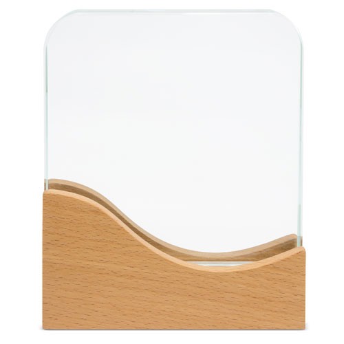TROFEO MODELO RECTANGULAR 10013