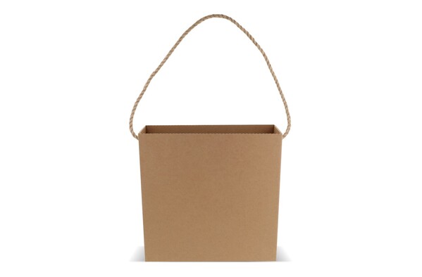 Sac en carton 35x35x11cm
