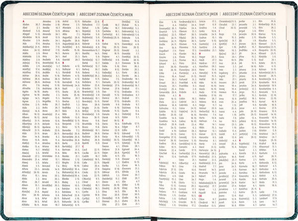 Notique 18Měsíční Diář Petito – Spící Liška 2026/2027, 11 x 16 cm - Východní