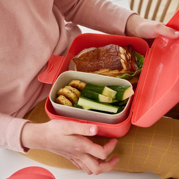 Lunchbox met vakverdeling CANDY L DREAMS