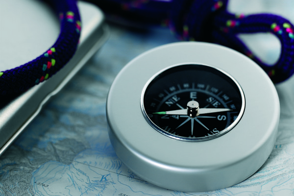 Target nautical compass
