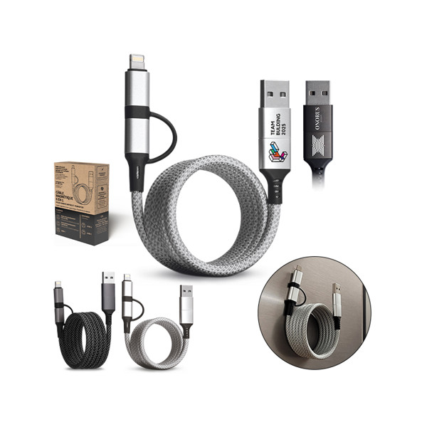 CABLE DE CHARGE 6 EN 1 A ENROULEMENT MAGNETIQUE - Argent