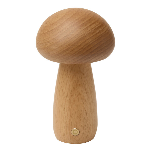 Led Desk Lamp Mosslight