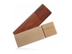 USB Flash drive TDW008