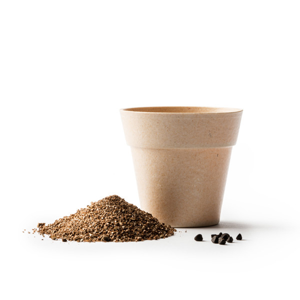 Maceta biodegradable personalizada con semillas de petunia