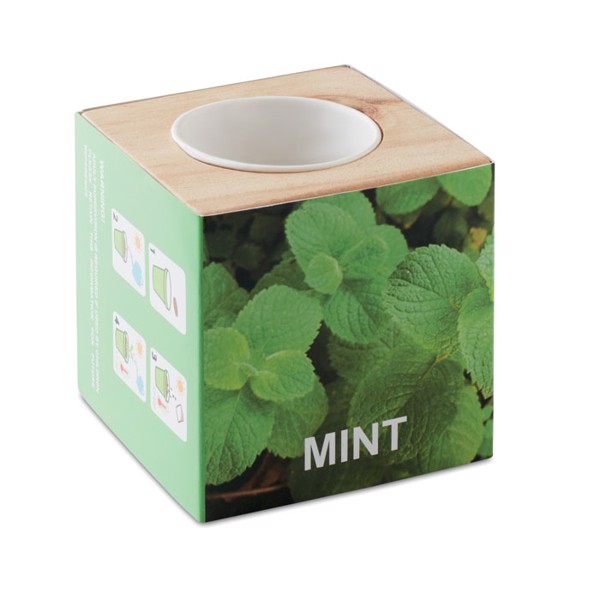 MB - Herb pot in wooden case Menta