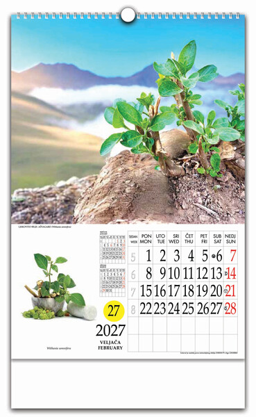 Zidni kalendar s rotacijskim krugom – Ljekovito bilje