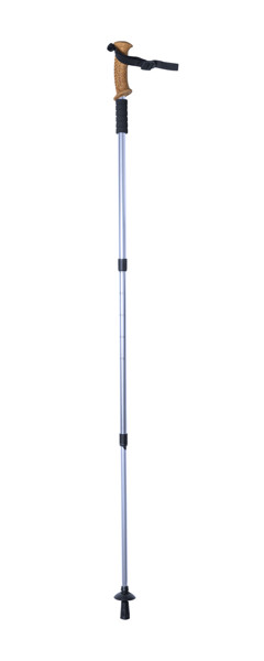 Nordic Walking Stick Caterpil