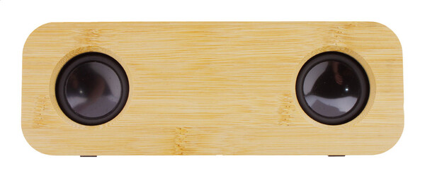 Haut-parleur sans fil Herkool