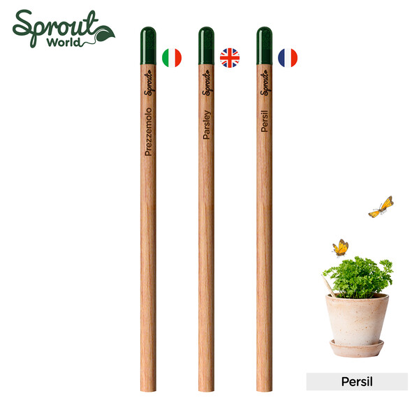 Spout pencil Gantz