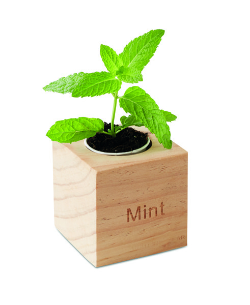 Herb pot wood "MINT" Menta