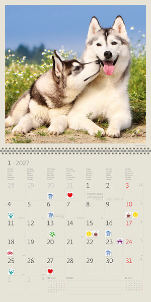 Calendar Dogs