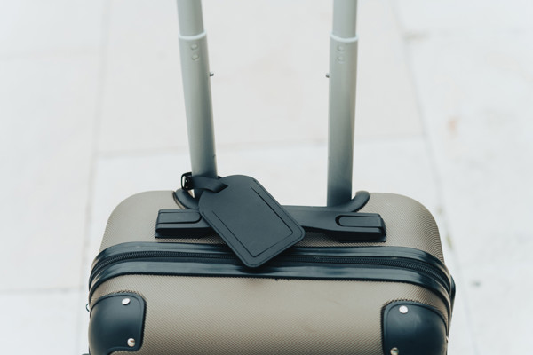 Globefind Dual RCS luggage tag with worldwide locating
