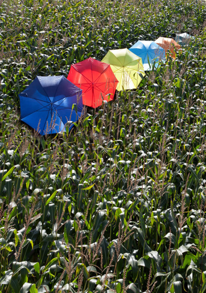 Guarda-chuva poliéster (190T) Andy - White