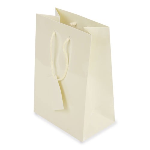 BOLSA PRESENTE PLASTIFICADA -