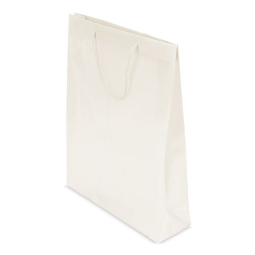BOLSA PRESENTE PVC -