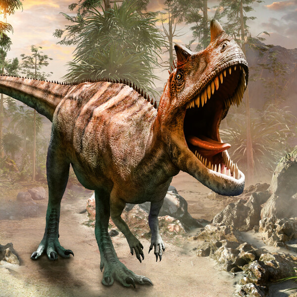 Notique Poznámkový Kalendář Dinosauři 2027, 30 x 30 cm - Východní