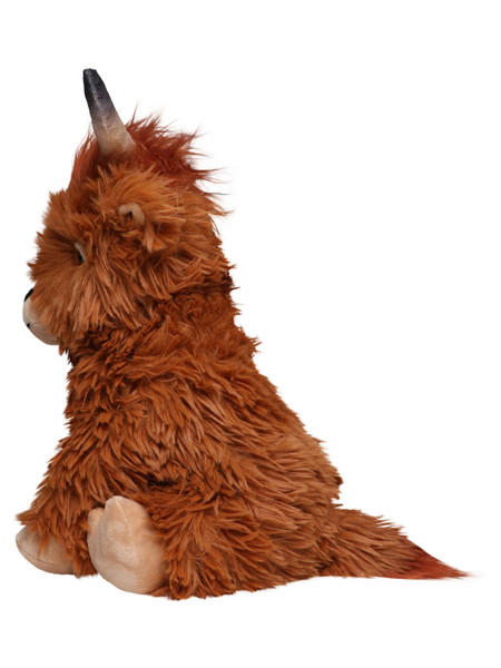 Scottish Highland Cattle Bobby