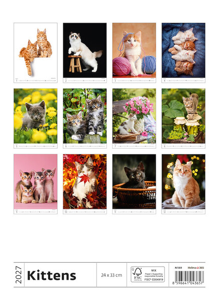 Calendar Kittens