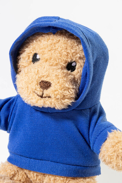 Rpet Pluh Teddy Bear With Hoodie Hobear - Blue