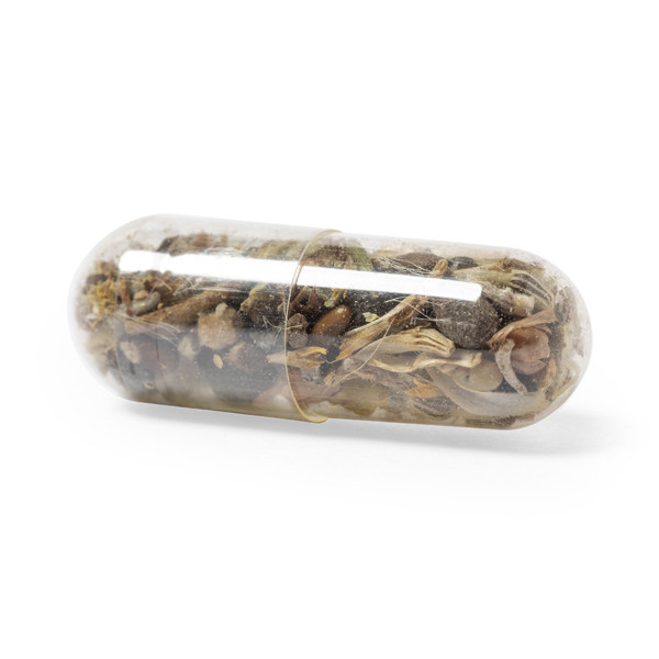 Capsule de Graine Biyok