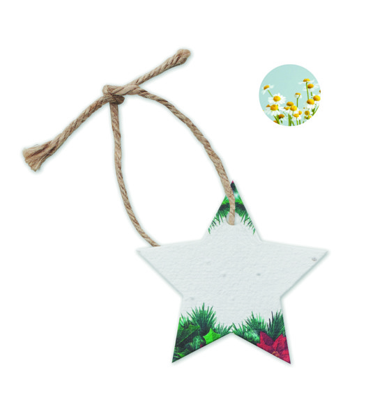 Seed paper Xmas ornament Starseed