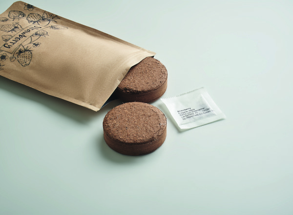 Fresa Kit strawberry growing set, compostable, paper