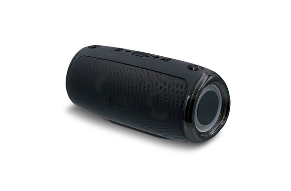 Grande enceinte avec bandoulière 20W