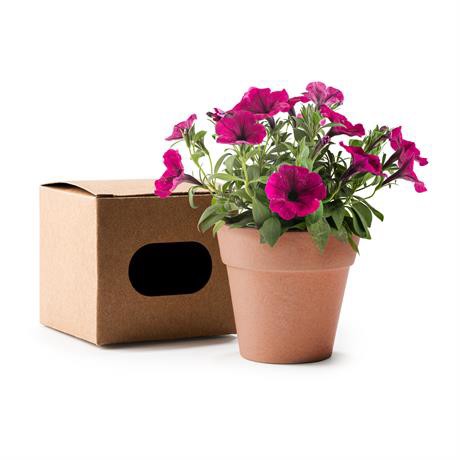 Maceta biodegradable personalizada con semillas de petunia