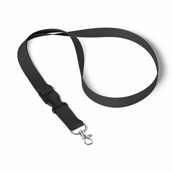 Detachable polyester pantone matched screenprint lanyard - Black / 15mm width / Metal carabiner