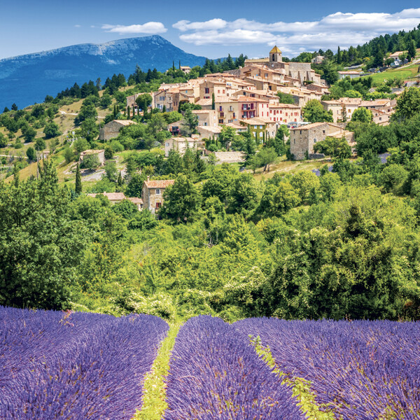 Notique Poznámkový Kalendář Provence 2027, 30 x 30 cm - Východní