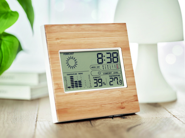 Weather station bamboo front Turku