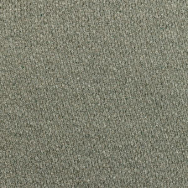 T-shirt en coton recyclé non teinté Iqoniq Manuel - Heather Green / XS
