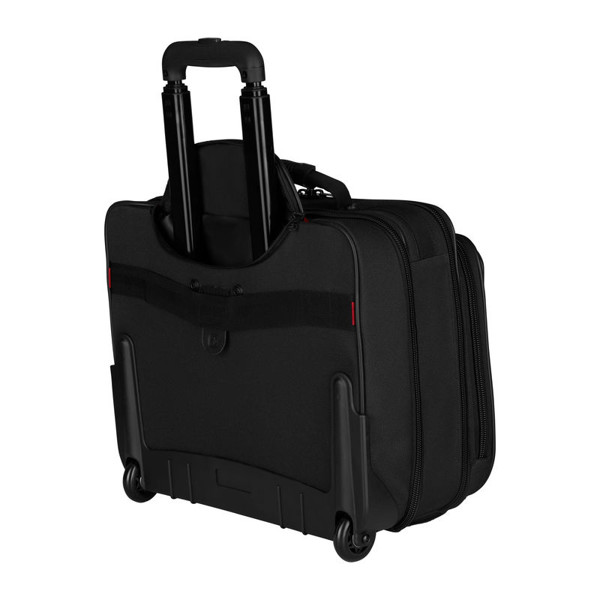 17" Wheeled Computer Case