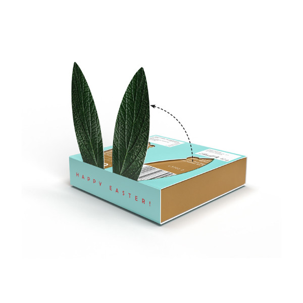 Lindt present, promotional slipcase, LINDOR mini chocolate eggs & bunny