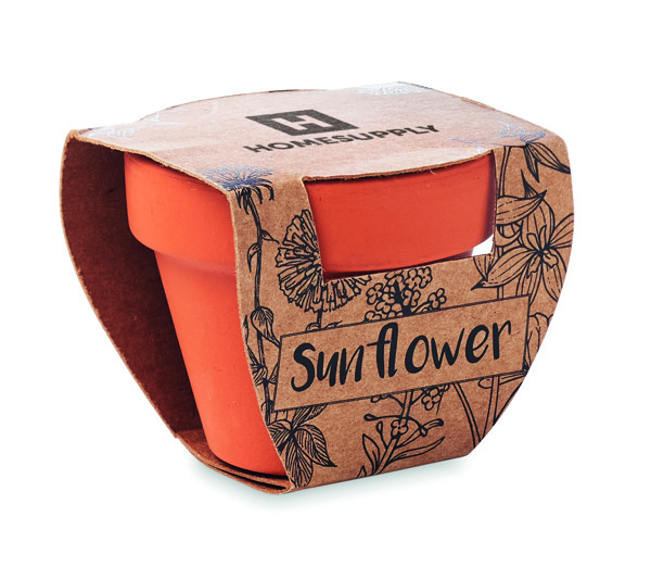 Terracotta pot 'sunflower'