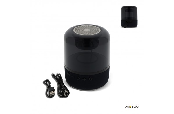 SP101 | Moyoo Smokey Dome speaker