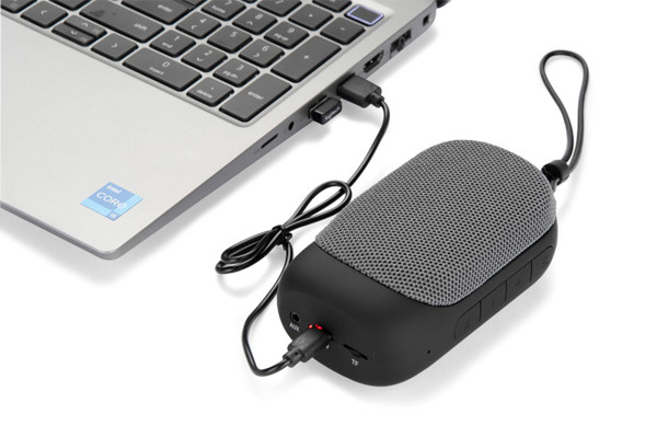 Wireless speaker CADENA
