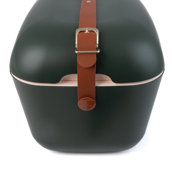 Chladicí box Polarbox Original Large 20L Vintage - Zelená