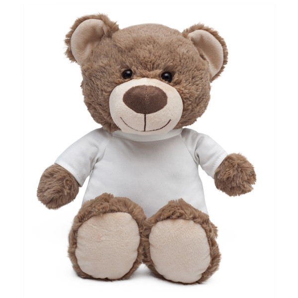 Big Teddy cuddly toy